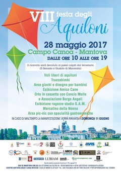 VIII Festa degli Aquiloni
